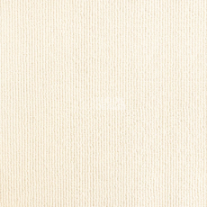 Ковролин AW Invictus Remus 03 фото 1 | FLOORDEALER